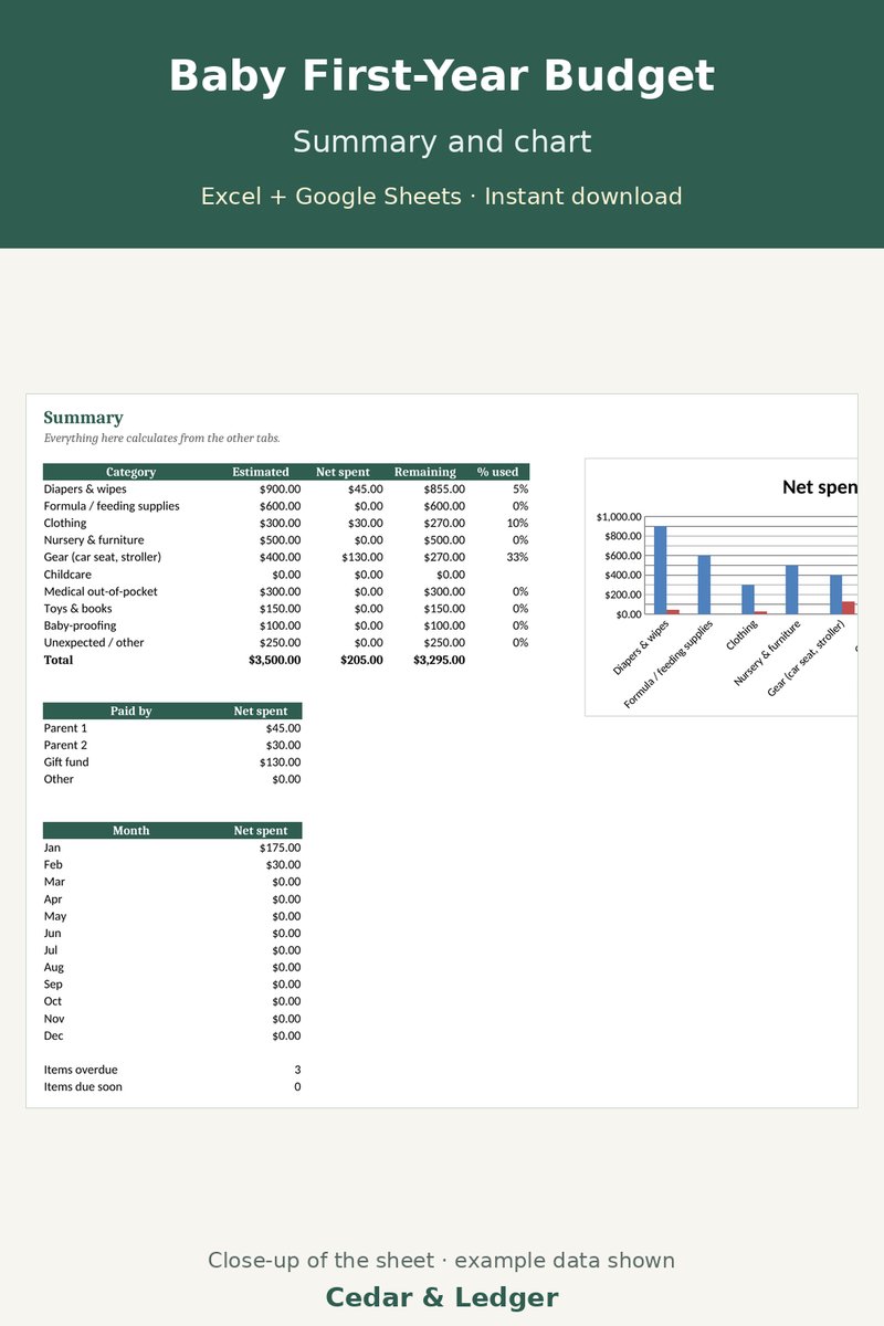 Baby First-Year Budget & Expense Tracker: summary preview