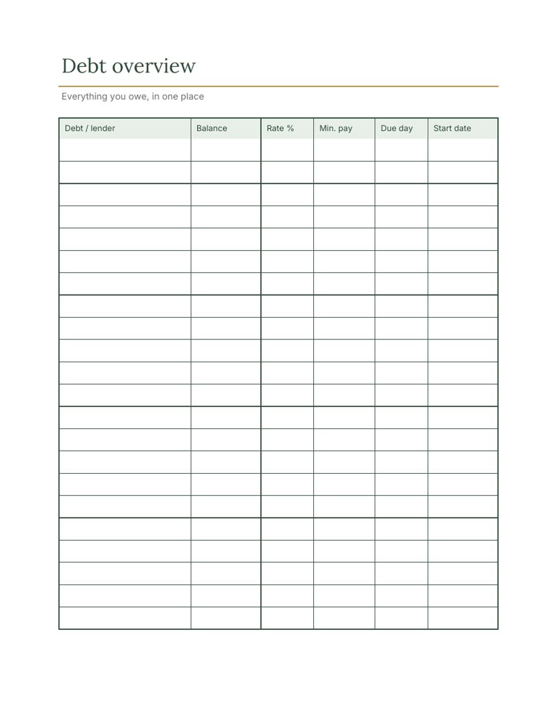 Debt Payoff Log Printable: overview preview