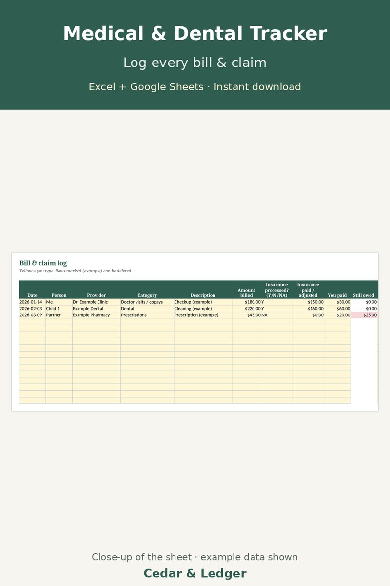 Medical & Dental Expense Tracker: log preview
