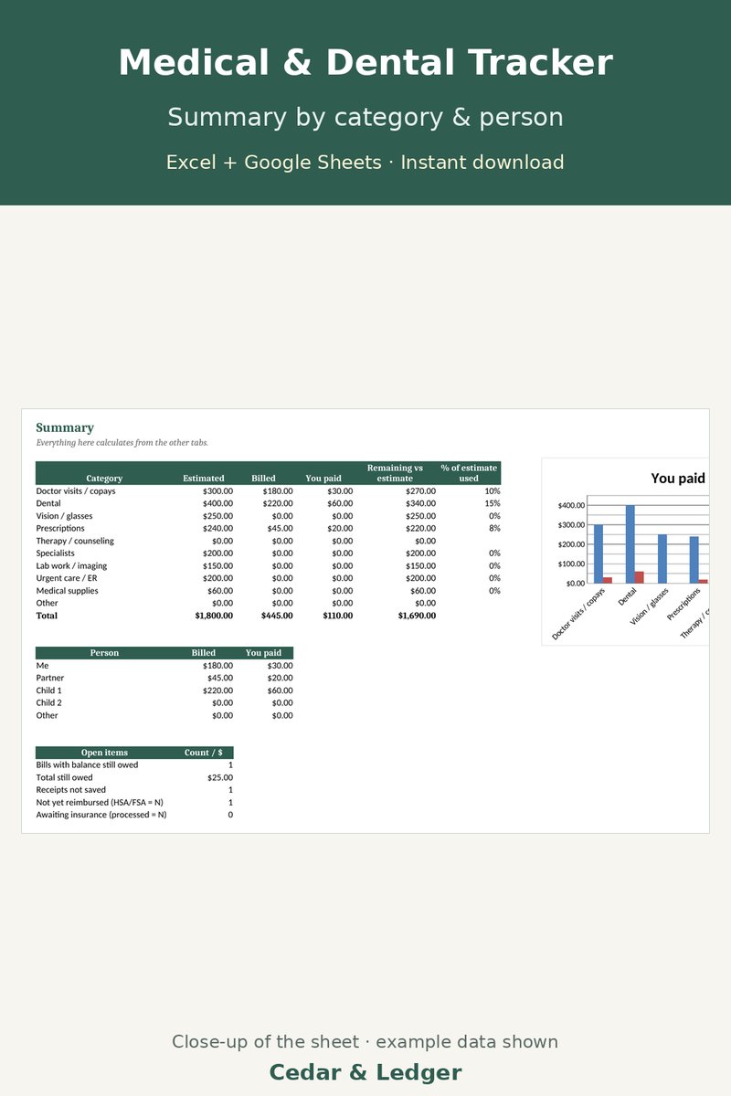 Medical & Dental Expense Tracker: summary preview