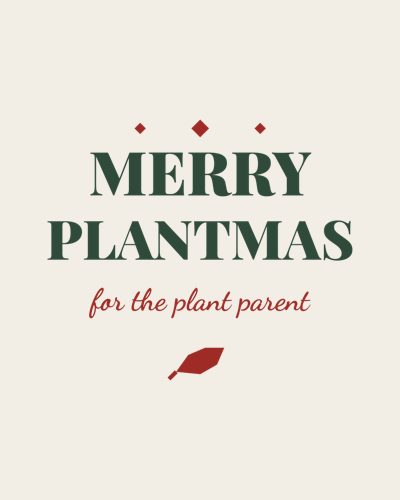 Merry Plantmas shirt design