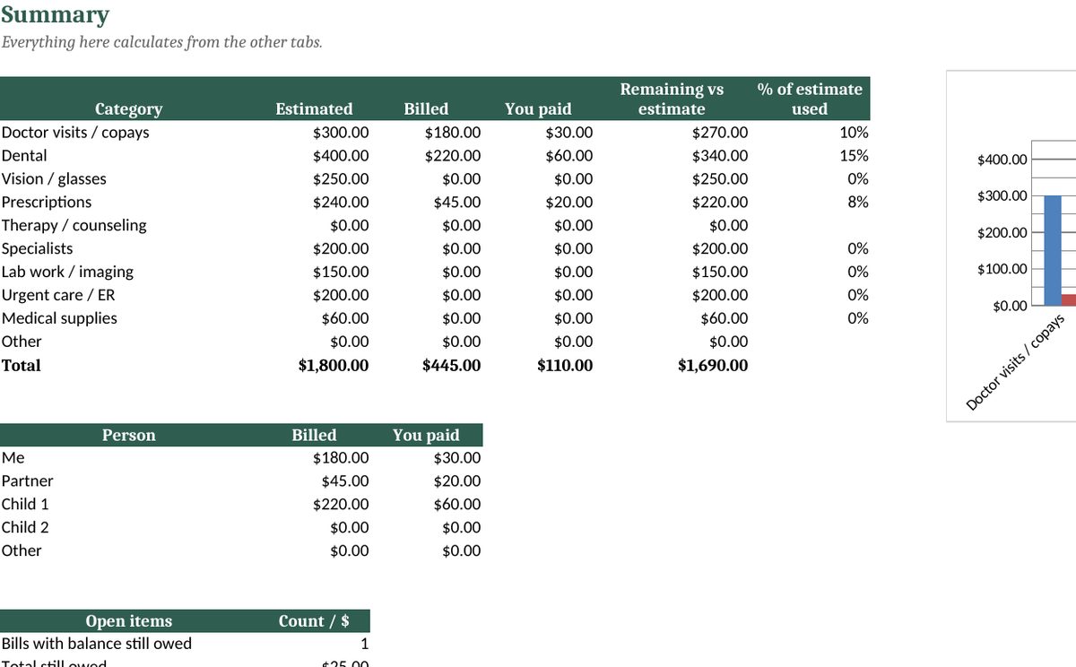 Medical & Dental Expense Tracker: real screenshot of the Summary tab (example data)