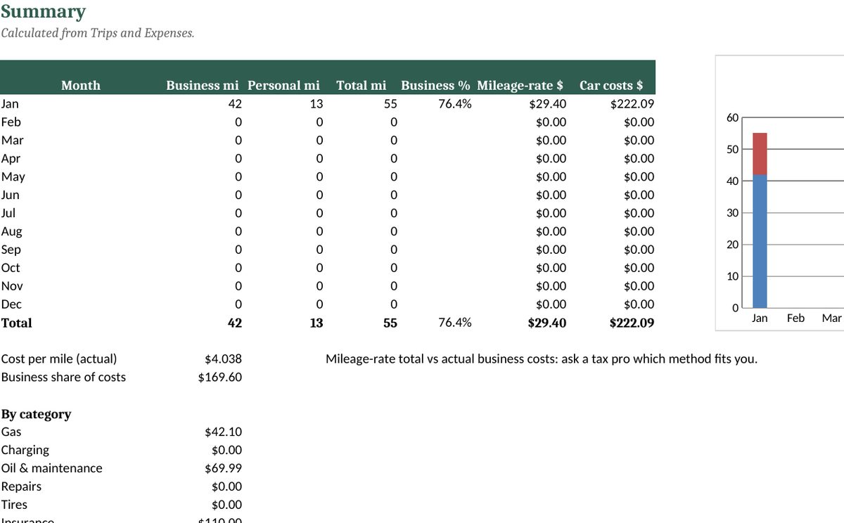 Car Expense & Mileage Log: real screenshot of the Summary tab (example data)